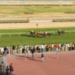 Sports Live Betting