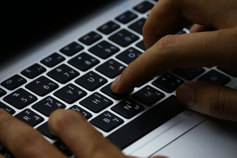 The Rise of Online Toto: A Comprehensive Guide