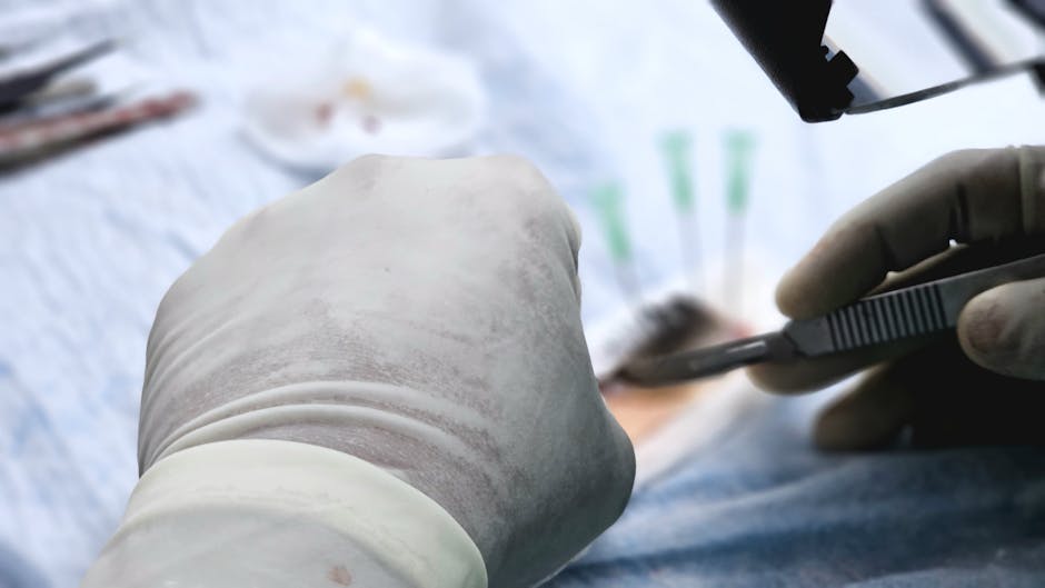 The Comprehensive Guide to Hair Transplant: What You Need to Know