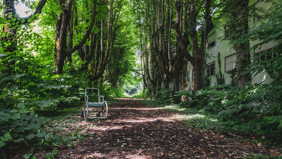 Understanding the Role of Psychiatric Hospitals in Mental Health Care