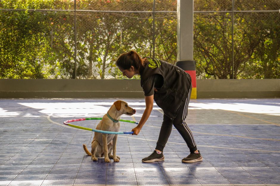 Choosing the Right Pet Boarding Facility for Your Furry Friend