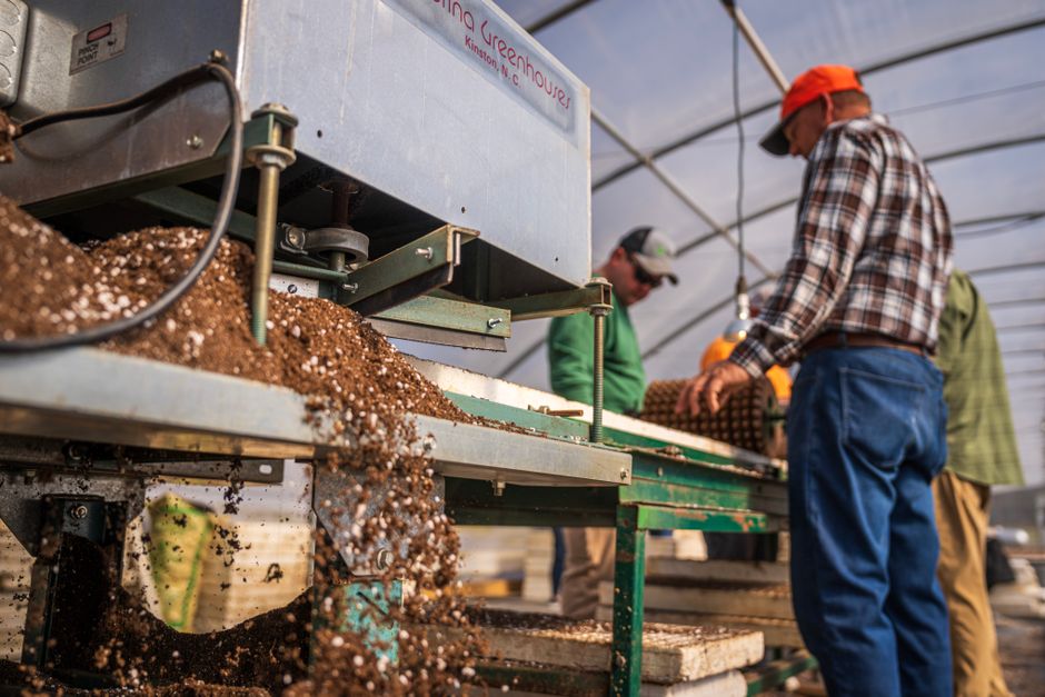 Maximizing Your Greenhouse: Essential Equipment for Success