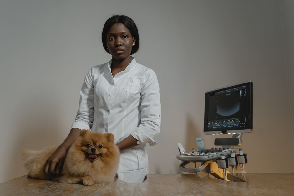 La importancia de elegir una clínica veterinaria adecuada para tu mascota