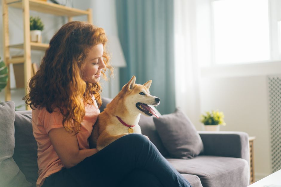 ペット保険を賢く比較する方法とは？