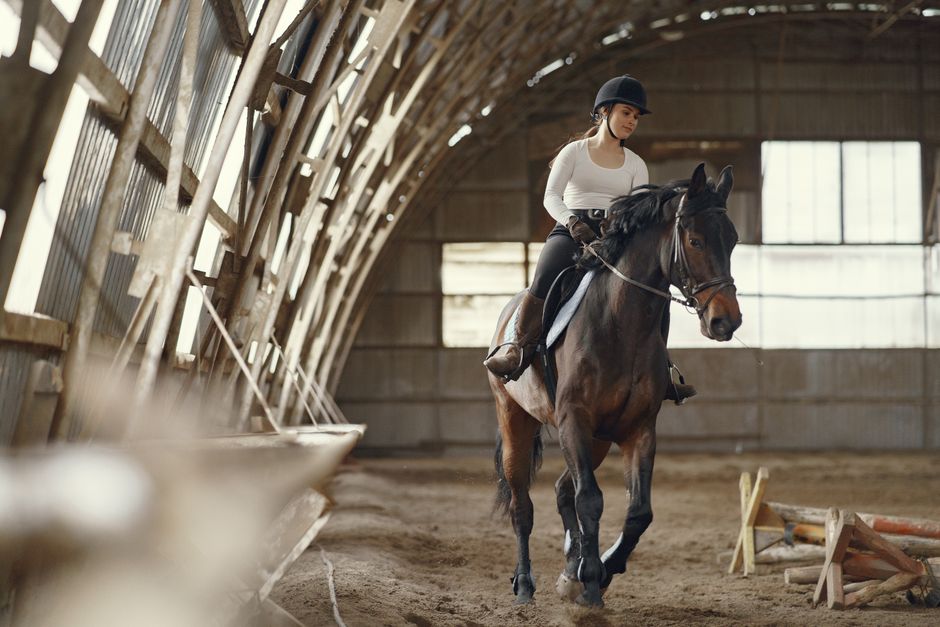 Unlocking the Joy of Horse Riding Lessons