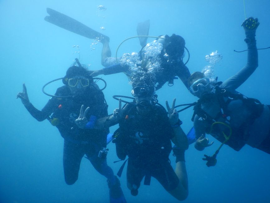 La guía definitiva para obtener tu certificación de buceo