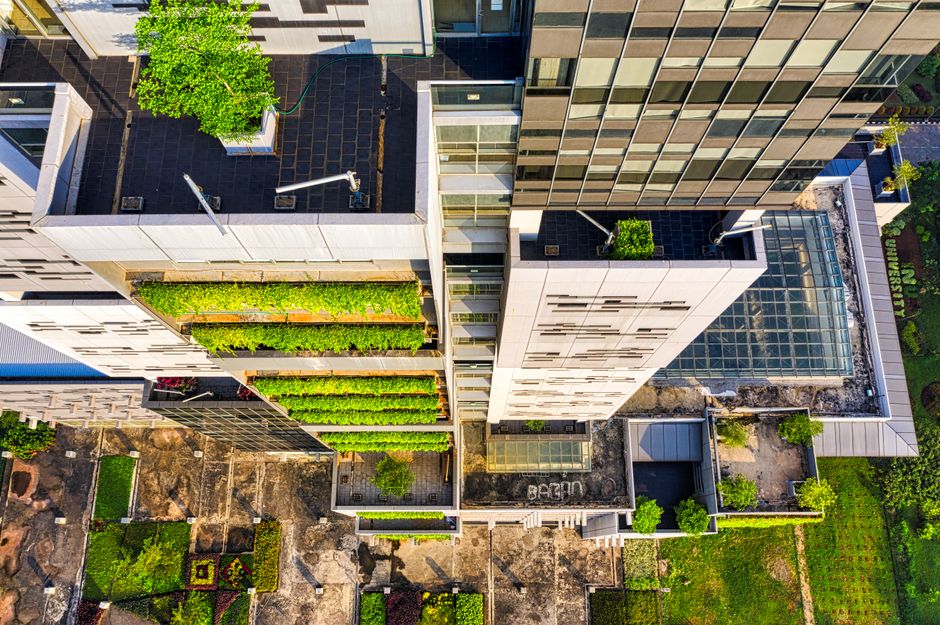 The Rise of Sustainable Architecture Firms in Modern Design